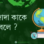 বাজাদা কাকে বলে ?