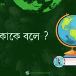 বর্জ্য কাকে বলে ?