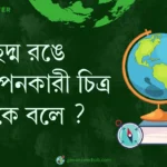 ছদ্ম রঙে উপস্থাপনকারী চিত্র কাকে বলে ?