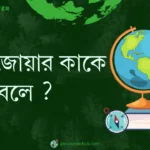 গৌণ জোয়ার কাকে বলে ?