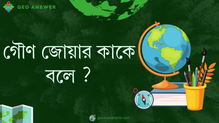 গৌণ জোয়ার কাকে বলে ?