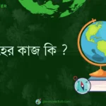 হিমবাহের কাজ কি ?