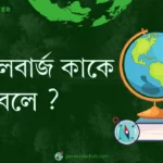 ইনসেলবার্জ কাকে বলে ?