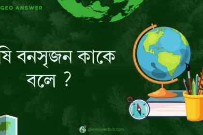 কৃষি বনসৃজন কাকে বলে ?