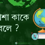 কুয়াশা কাকে বলে ?