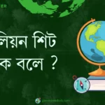 মিলিয়ন শিট কাকে বলে ?