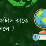 মরা কোটাল কাকে বলে ?