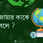 মুখ্য জোয়ার কাকে বলে ?