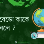 অ্যালবেডো কাকে বলে ?