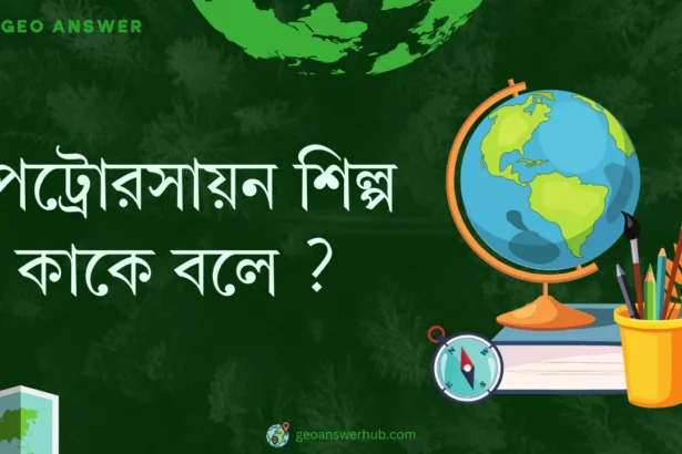 পেট্রোরসায়ন শিল্প কাকে বলে ?