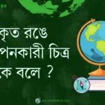 প্রকৃত রঙে উপস্থাপনকারী চিত্র কাকে বলে ?