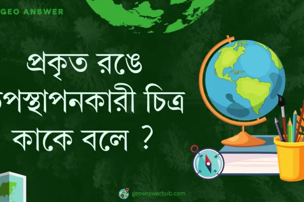 প্রকৃত রঙে উপস্থাপনকারী চিত্র কাকে বলে ?