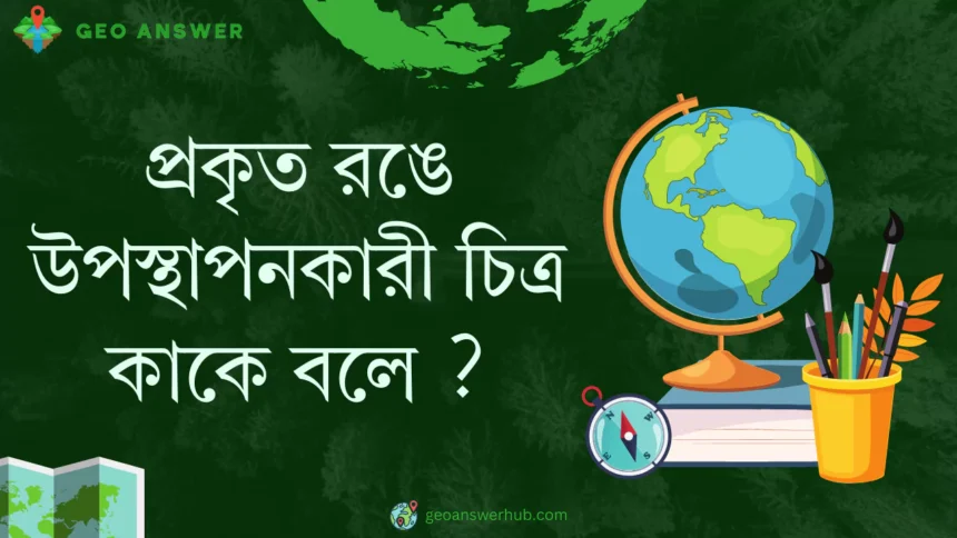 প্রকৃত রঙে উপস্থাপনকারী চিত্র কাকে বলে ?