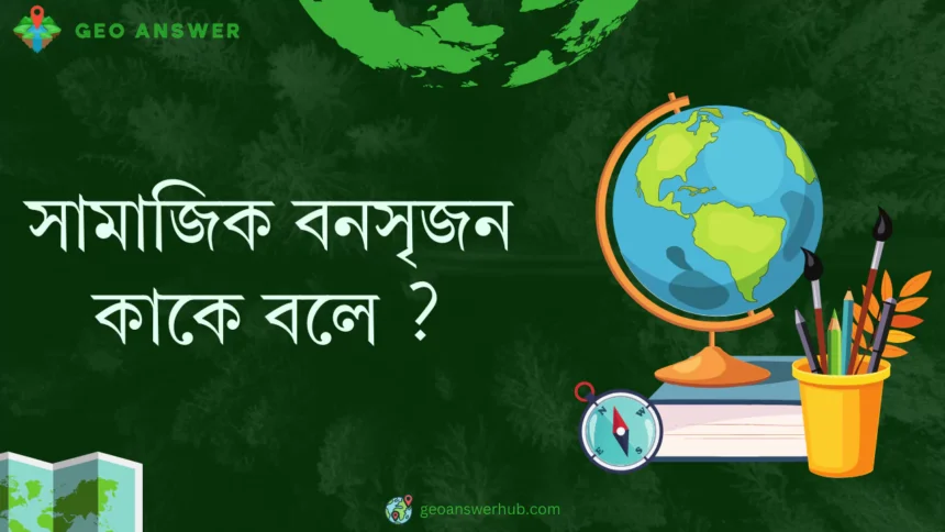 সামাজিক বনসৃজন কাকে বলে ?