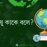 সমুদ্রবায়ু কাকে বলে ?